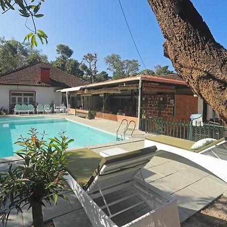 Devi Villa - Plantation Retreat And Forest Getaway Kutta Екстер'єр фото